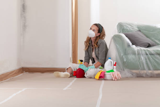 Reliable Commercial Mold Remediation contractor in Ridgefield, NJ by WQB Mold Removal